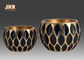 Декоративные геометрические цветочные горшки стеклоткани картины с золотом листали финиш