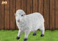 Оформление сада скульптуры овец тележки Фигуринес Полыресин в натуральную величину белого цвета животное