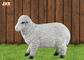 Оформление сада скульптуры овец тележки Фигуринес Полыресин в натуральную величину белого цвета животное