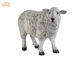 Фигуринес животного Полыресин статуи овец тележки